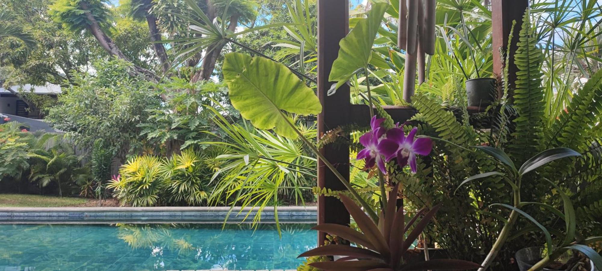 Sweet Island Bed & Breakfast ริวิแยร์นัวร์ ภายนอก รูปภาพ
